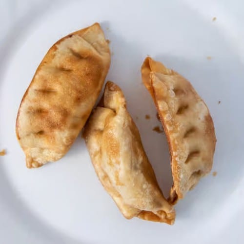 Fried Dumplings (3).
