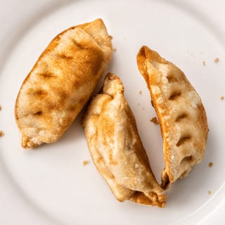 Fried Dumplings (3)